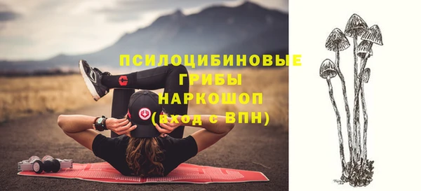 стаф Верхний Тагил
