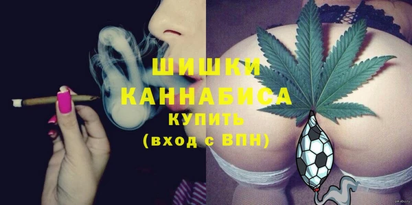 стаф Верхний Тагил